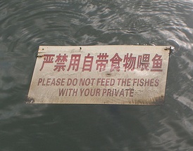 Please do not feed the fishes with your private