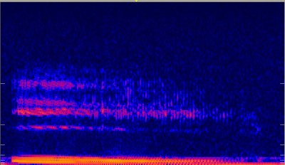 Spektrogramm der menschlichen Stimme